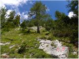 Rifugio Sorgenti del Piave - Monte Peralba